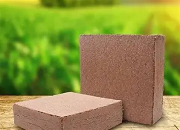 Premium Coco Peat Blocks for Export
