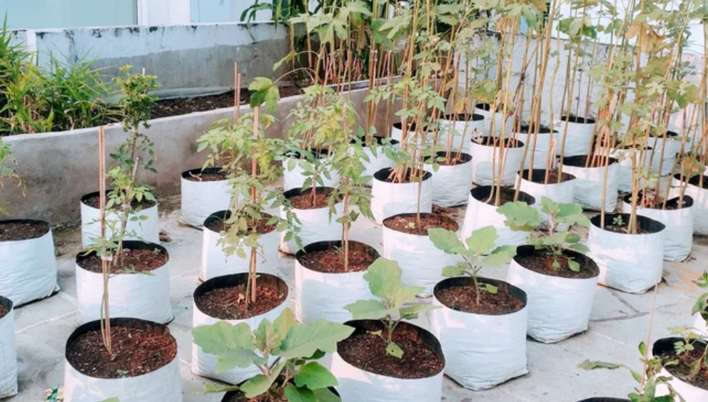 Coir Peat Grow Bags for Hydroponics