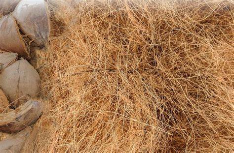 High Quality Coir Fibre from India